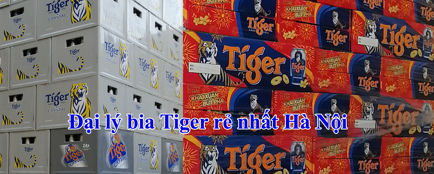 Đại lý bia Tiger rẻ nhất Hà Nội